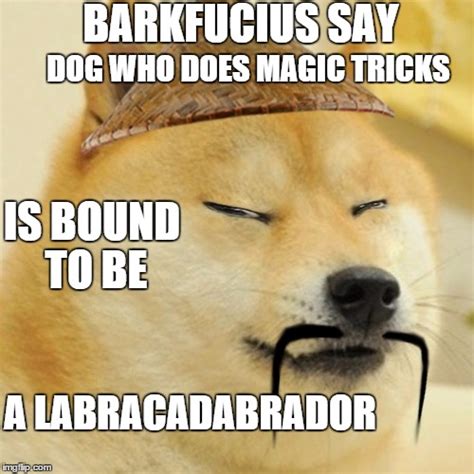 Magic trick doge